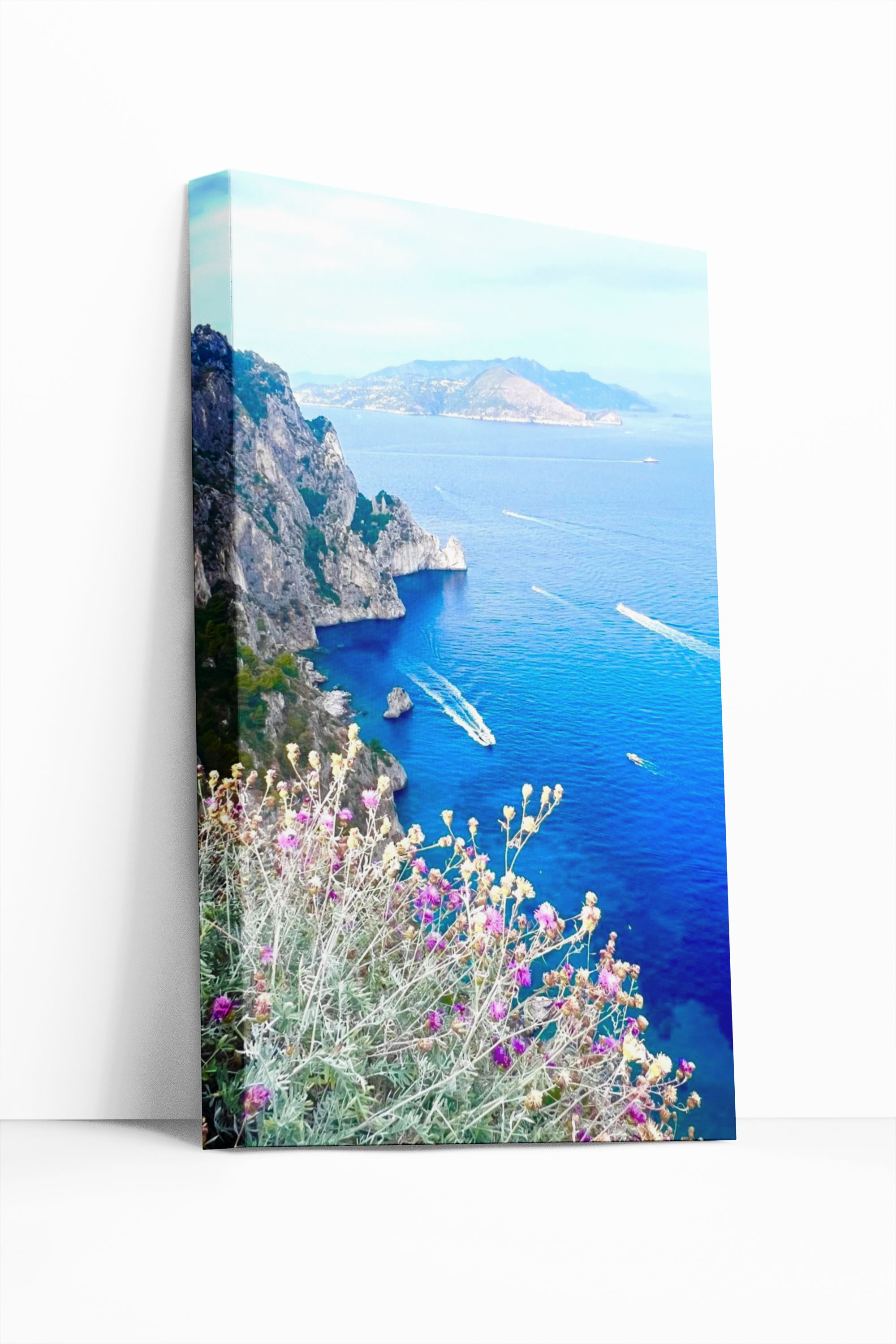 Canvas  Belvedere da Dentecala a Capri