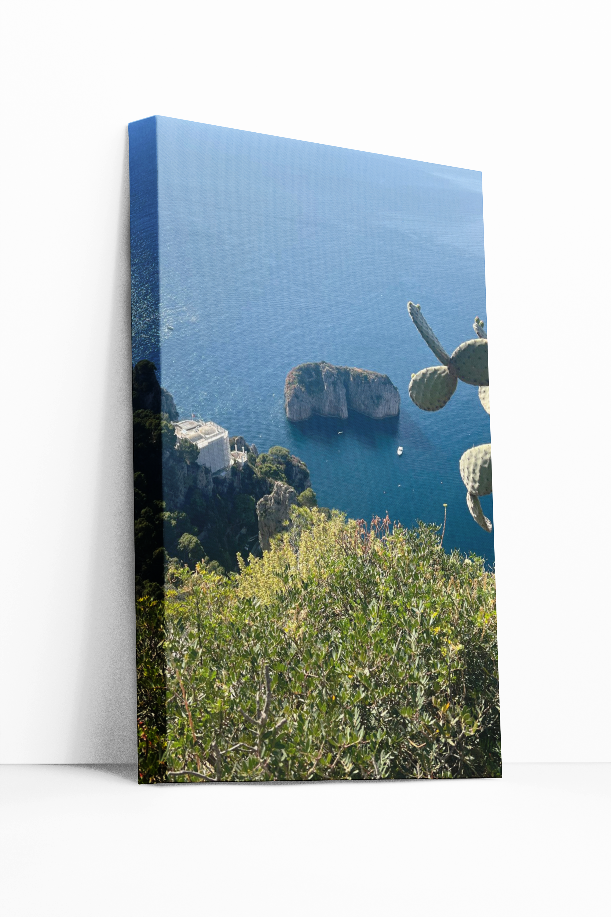 Canvas Monacone di Capri