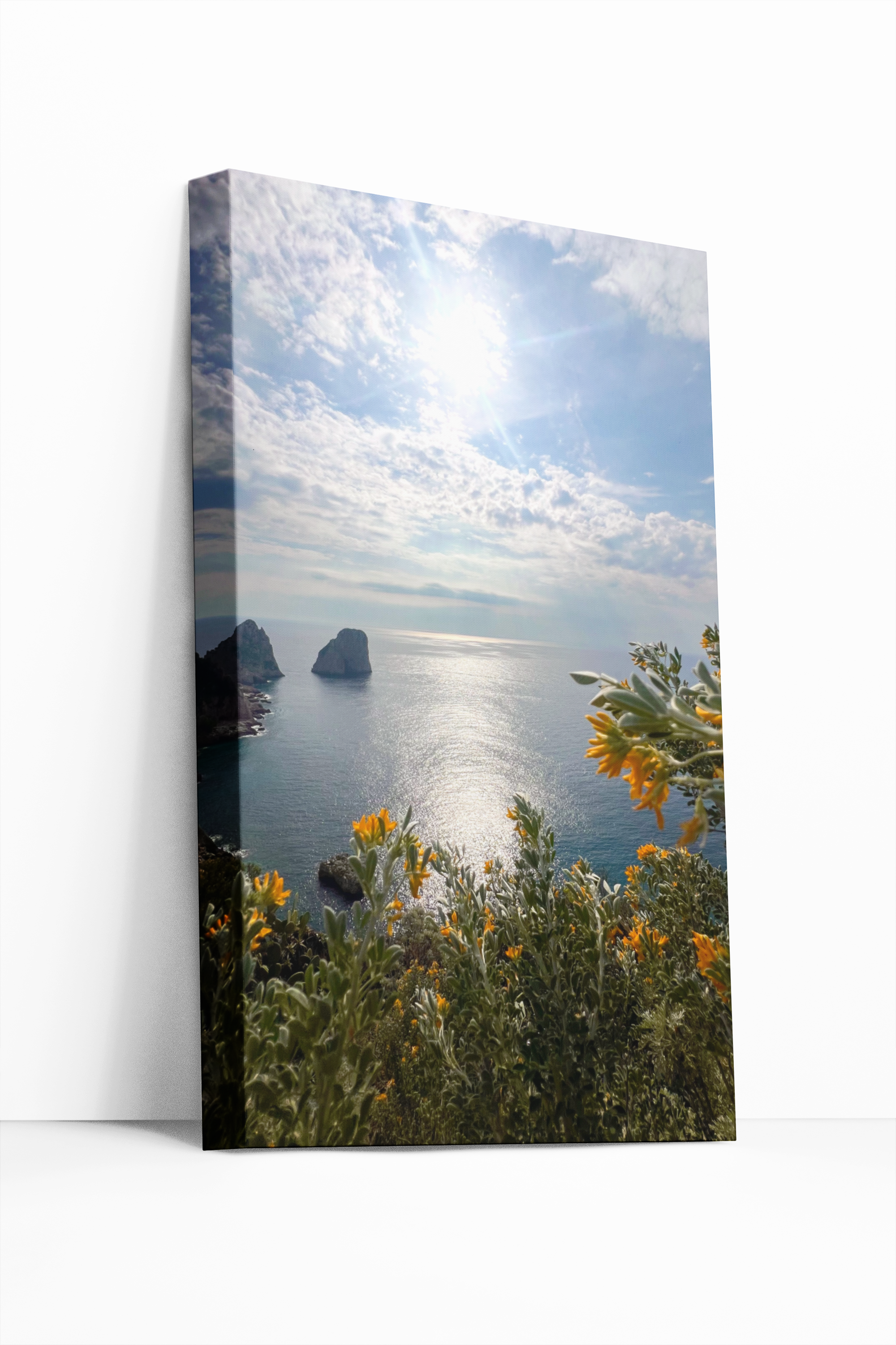 Canvas  Faraglioni  in Fiore di Primavera a Capri