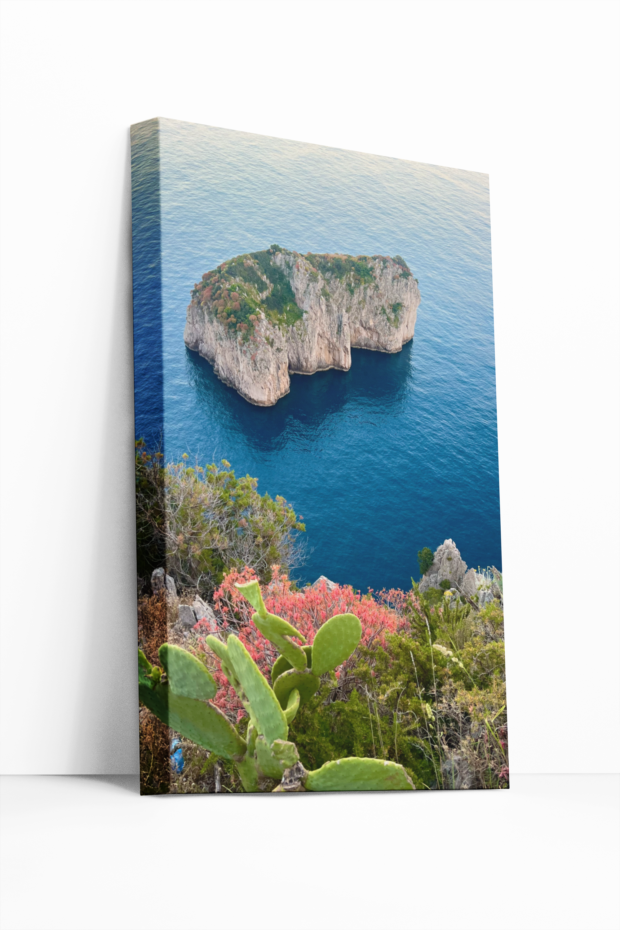 Canvas Monacone di Capri in Primavera